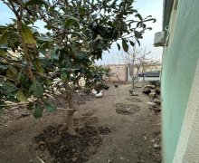 Satılır Həyət evi/villa Saray, Abşeron r.