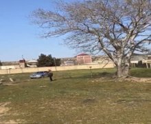 mastagada torpaq alqi satqisi Maştağa qəs., Sabunçu r.