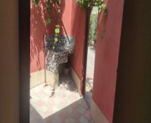 Kirayə (aylıq) Yeni Tikili Yeni Suraxanı qəs., Suraxanı r.