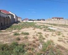 novxanida torpaq satilir Novxanı, Abşeron r.