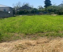 ismayillida torpaq alqi satqisi İsmayıllı ş.