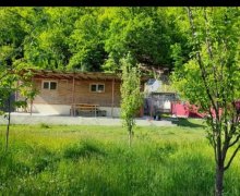 Kirayə (günlük) Həyət evi/villa Qax ş.