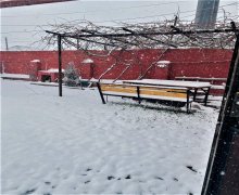 Satılır Həyət evi/villa Keşlə qəs., Nizami r.