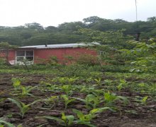 lerik günlük istirahet merkezleri Lerik ş.