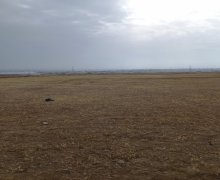 sarayda torpaq satilir Saray, Abşeron r. sarayda torpaq satilir Saray, Abşeron r.