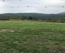 qebelede torpaq alqi satqisi Qəbələ ş.