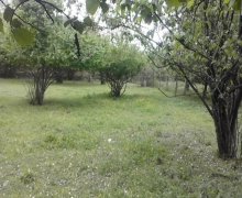 Satılır Torpaq Qəbələ ş.