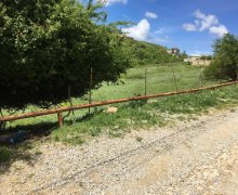 elanlari alqi satqisi elanlari Şamaxı ş.