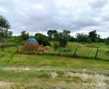 Satılır Torpaq Qusar ş.