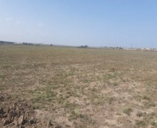 Satılır Torpaq Azadlıq m., Biləcəri qəs., Binəqədi r.