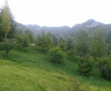 ismayillida torpaq alqi satqisi İsmayıllı ş.