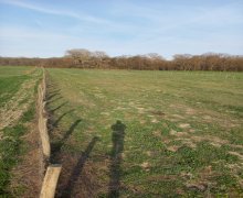 xacmazda torpaq alqi satqisi Xaçmaz ş.