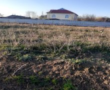 elanlari alqi satqisi elanlari Biləsuvar ş.