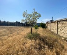 elanlari alqi satqisi elanlari Koroğlu m., Nardaran qəs., Sabunçu r.