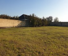 Satılır Torpaq Qəbələ ş.