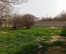 rayonlarda torpaq alqi satqisi Fatmayi, Abşeron r.