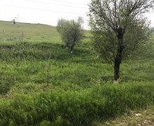 Satılır Torpaq Nəriman Nərimanov m., Montin qəs., Nərimanov r. Satılır Torpaq Nəriman Nərimanov m., Montin qəs., Nərimanov r.