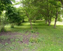 Satılır Torpaq Qəbələ ş.