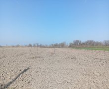 xacmazda torpaq alqi satqisi Xaçmaz ş.