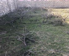 elanlari alqi satqisi elanlari Pirşağı qəs., Sabunçu r.