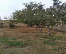 zigda evler/villa Zığ qəs., Suraxanı r.