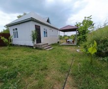 Kirayə (günlük) Həyət evi/villa Qəbələ ş.