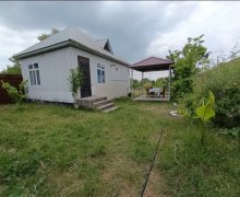 Kirayə (günlük) Həyət evi/villa Qəbələ ş. Kirayə (günlük) Həyət evi/villa Qəbələ ş.