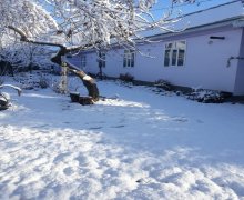 Kirayə (günlük) Həyət evi/villa Qəbələ ş.