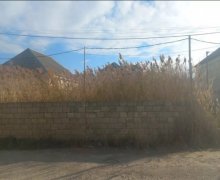 sarayda torpaq satilir Saray, Abşeron r. sarayda torpaq satilir Saray, Abşeron r.