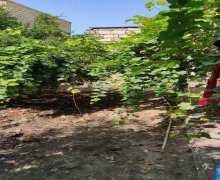 Satılır Həyət evi/villa Xırdalan ş.