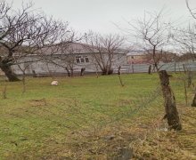 Satılır Torpaq Qəbələ ş.