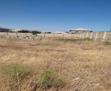 sarayda torpaq satilir Saray, Abşeron r.