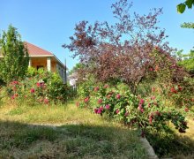 lerik günlük istirahet merkezleri/villa Lerik ş.