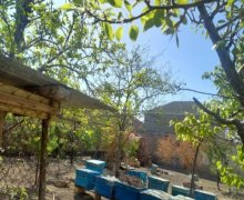 Satılır Torpaq Binəqədi qəs., Binəqədi r. Satılır Torpaq Binəqədi qəs., Binəqədi r.