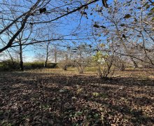 Satılır Torpaq Qəbələ ş.