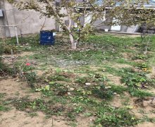 Satılır Bağ evi Kürdəxanı qəs., Sabunçu r. Satılır Bağ evi Kürdəxanı qəs., Sabunçu r.