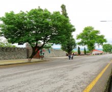 ismayillida torpaq alqi satqisi İsmayıllı ş.