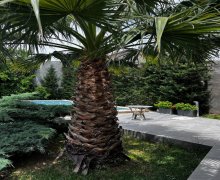 xezer rayonunda aylıq kiraye ev Mərdəkan, Xəzər r.