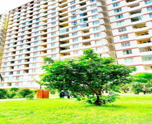 Kirayə (aylıq) Yeni Tikili 20 Yanvar m., Yasamal qəs., Yasamal r.