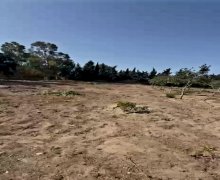 Продажа Участок пос. Нардаран, Сабунчу р.