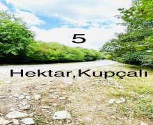 ismayillida torpaq alqi satqisi İsmayıllı ş.