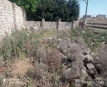 xirdalanda torpaq Xırdalan ş.