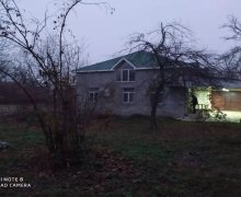 Satılır Bağ evi Qəbələ ş.