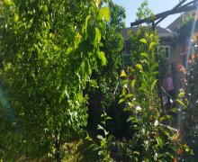 Satılır Həyət evi/villa Şamaxı ş.