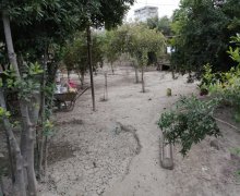 hovsanda torpaq satilir Hövsan qəs., Suraxanı r.