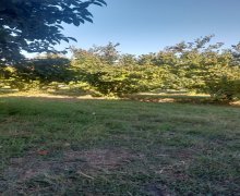 Продажа Участок Шювалан, Хязяр р.