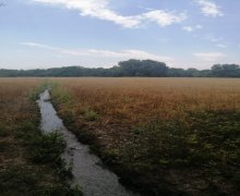 elanlari alqi satqisi elanlari Xaçmaz / Nabran ş.