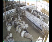 Satılır Obyekt Zirə, Xəzər r.