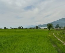 ismayillida torpaq alqi satqisi İsmayıllı ş.