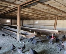 Satılır Obyekt Bahar qəs., Suraxanı r.